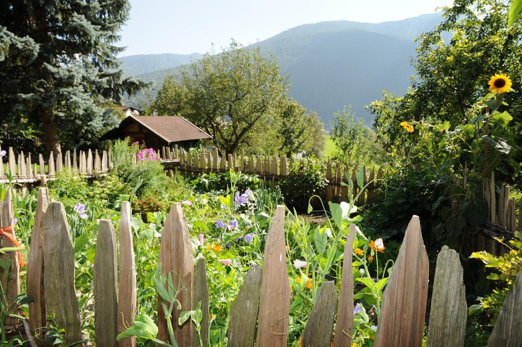 קאמפו די טרנס Chalet & Appartement Zingerlehof Trens מראה חיצוני תמונה