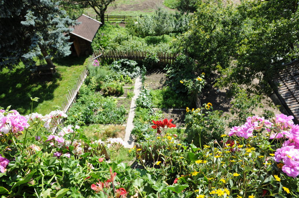 קאמפו די טרנס Chalet & Appartement Zingerlehof Trens מראה חיצוני תמונה
