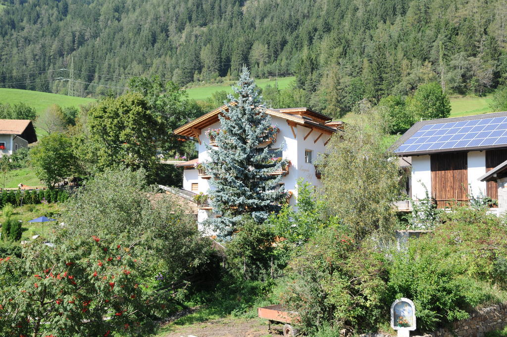 קאמפו די טרנס Chalet & Appartement Zingerlehof Trens מראה חיצוני תמונה